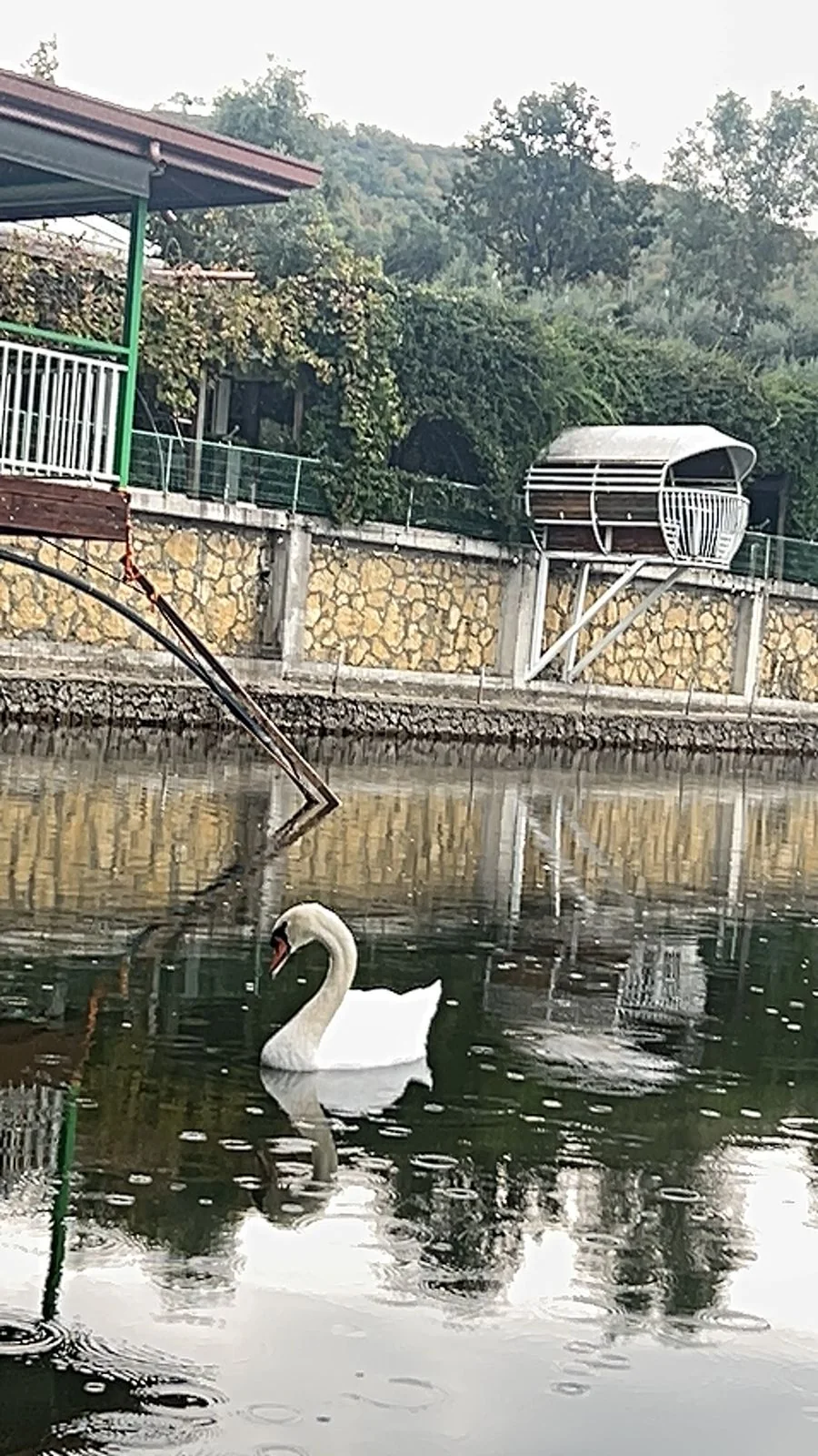 Peshkim sportiv
